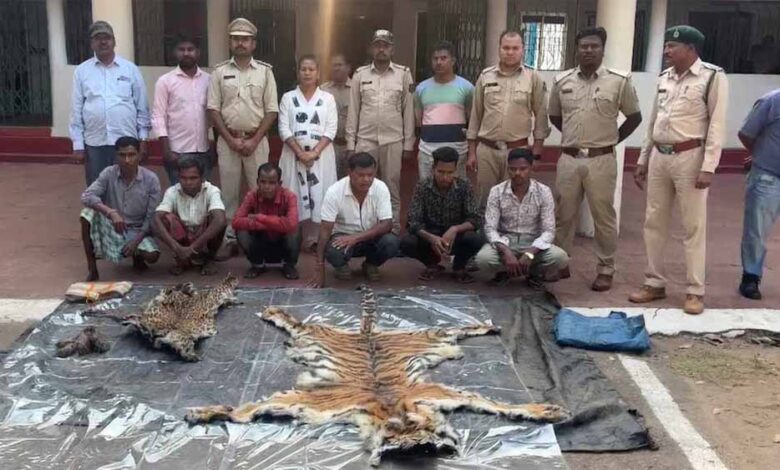 वन्यजीव-हत्या-का-सनसनीखेज-मामला:-डिप्टी-रेंजर-पर-शिकारियों-से-मिलीभगत-का-आरोप,-बाघ-तेंदुए-की-खाल-के-साथ-गिरफ्तार