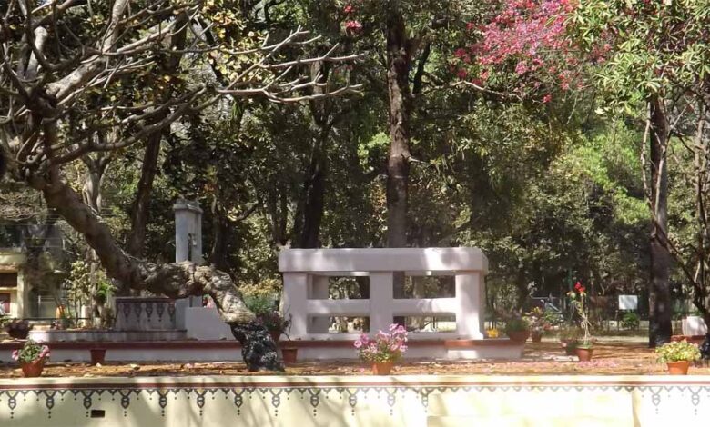 छत्तीसगढ़-विधानसभा-में-फिर-उठा-छातिम-वृक्ष-विवाद,-मंत्री-ओपी-चौधरी-ने-रोक-से-किया-इनकार