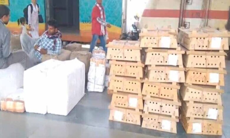 बर्ड-फ्लू-के-डर-के-बीच-बिलासपुर-स्टेशन-पर-चूजों-की-खेप-पहुंची,-मचा-हड़कंप