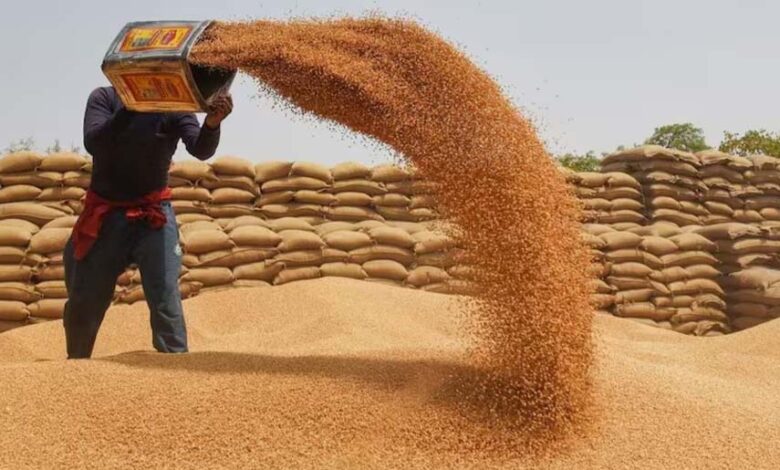 मालवांचल,-नर्मदापुरम-और-भोपाल-संभाग-में-10-अप्रैल-से-गेहूं-उपार्जन,-बाकी-संभागों-में-15-मार्च-से-शुरू-होगी-खरीदी