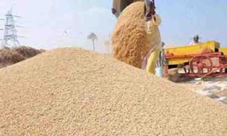 देशभर-में-गेहूं-की-सरकारी-खरीद-शुरू,-2585-रुपये-प्रति-क्विंटल-के-नए-msp-से-किसानों-को-मिलेगा-बड़ा-लाभ