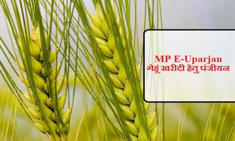 अनूपपुर-जिले-में-गेहूँ-उपार्जन-15-अप्रैल-से-प्रारंभ,-6-केंद्र-निर्धारित