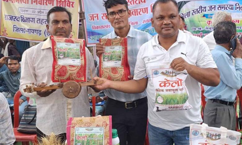 लैलूंगा-की-पहचान-बना-‘केलो’-जैविक-जंवाफूल-चावल