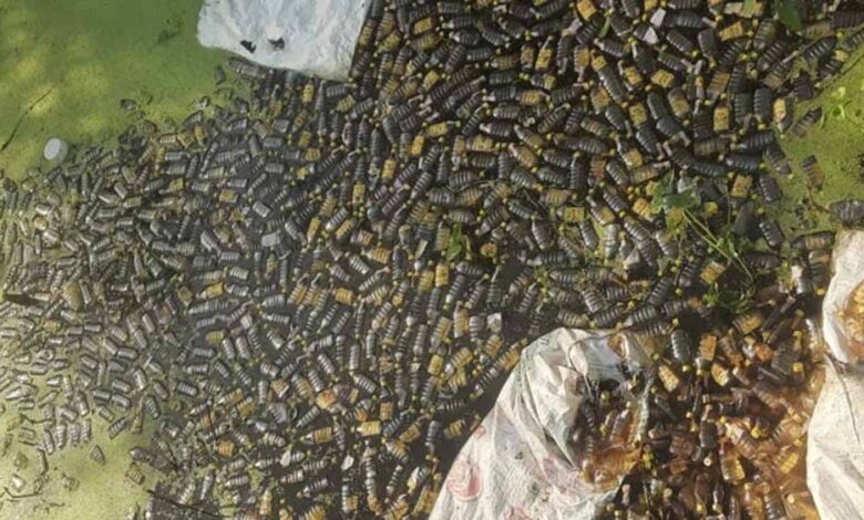 मुरैना-में-नाला-शराब-से-भर-गया,-नजारा-देखकर-लोग-हुए-दंग