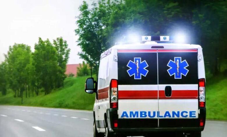 बिना-पेट्रोल-और-बिजली-के-दौड़ेगी-गाड़ी,-पेश-हुई-दुनिया-की-पहली-सोलर-एंबुलेंस-stella-juva