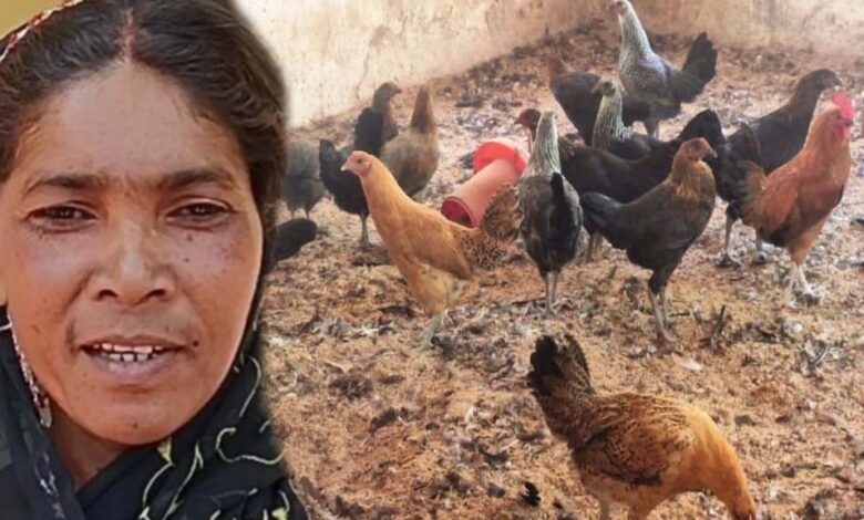 गौठान-से-बदली-तस्वीर:-धोवाताल-बना-आत्मनिर्भर-मॉडल-गांव,-पलायन-पर-लगी-रोक