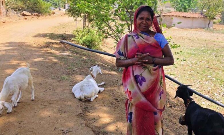 रायपुर-:-महतारी-वंदन-योजना-से-संवर-रही-पहाड़ी-कोरवा-परिवारों-की-तकदीर