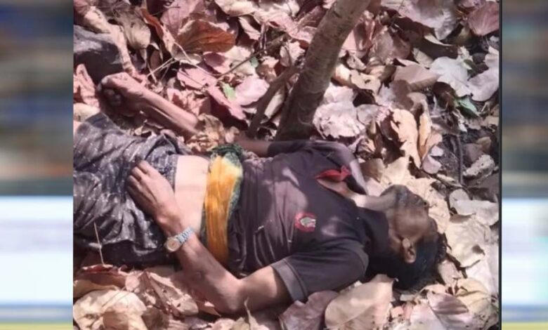 जंगल की खामोशी में गूंजी चीख: महुआ बीनने गए ग्रामीण की हाथी हमले में दर्दनाक मौत