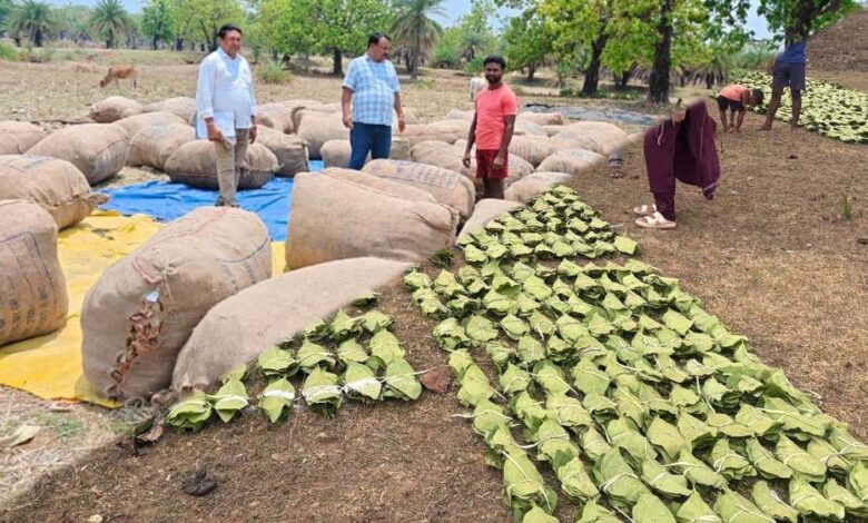 हरा-सोना-संग्राहकों-की-आय-बढ़ाने-के-लिए-बड़ा-कदम,-920-करोड़-रुपए-का-होगा-संभावित-भुगतान