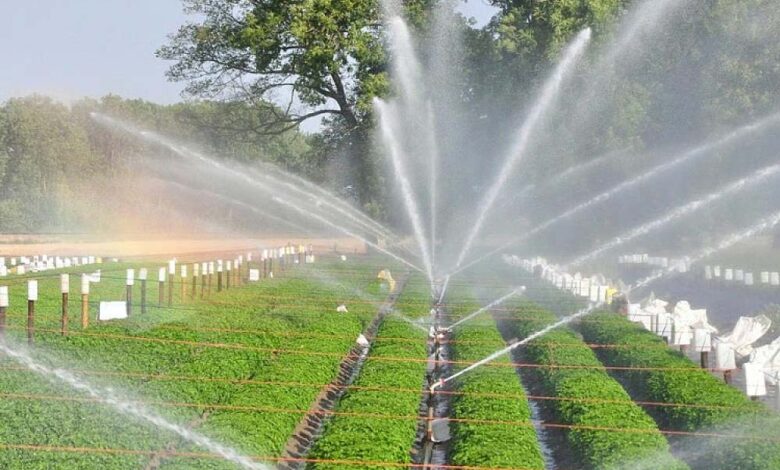 मध्य-प्रदेश-के-678-गांवों-को-चूमेगी-हरियाली,-वॉटर-प्रोजेक्ट-पर-मोहन-सरकार-बहाएगी-पैसा