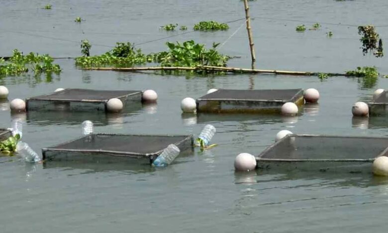 अम्बिकापुर-:-मत्स्य-पालन-हेतु-जलाशयों-का-10-वर्षीय-लीज-आबंटन-के-लिए-आवेदन-आमंत्रित