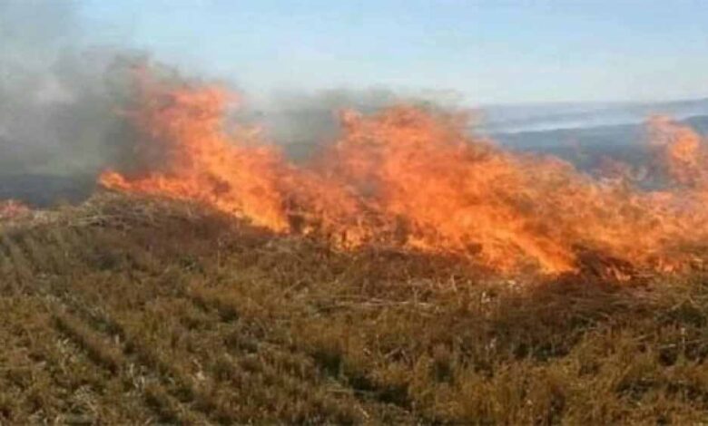 नरवाई-जलाना-खेत-और-सेहत-दोनों-के-लिए-हानिकारक-:-कृषि-मंत्री-कंषाना