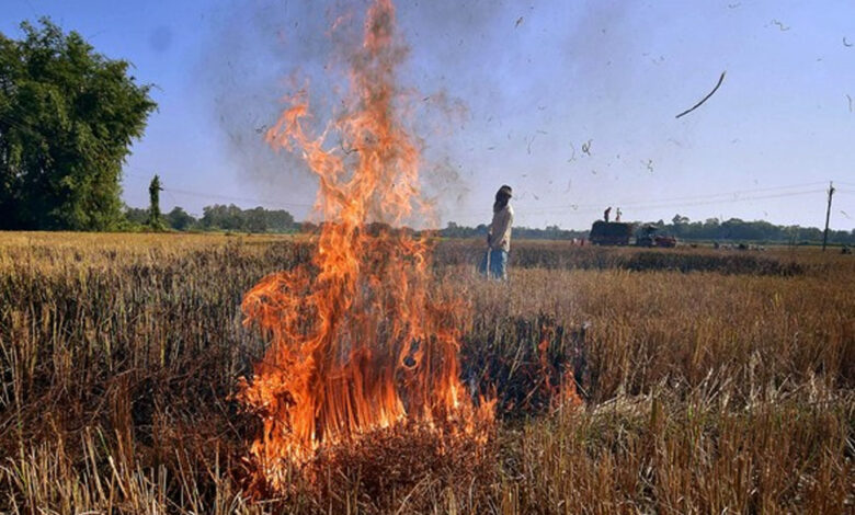 नरवाई-जलाना-खेत-और-सेहत-दोनों-के-लिए-हानिकारक-:-कृषि-मंत्री-कंषाना