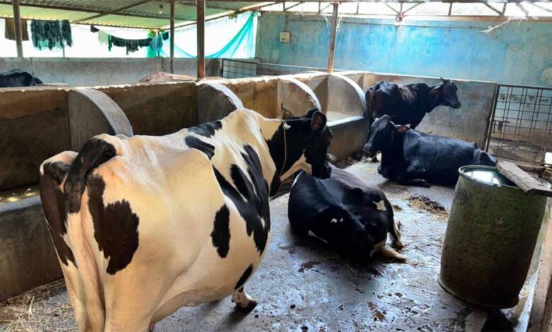 फलता-की-कहानी