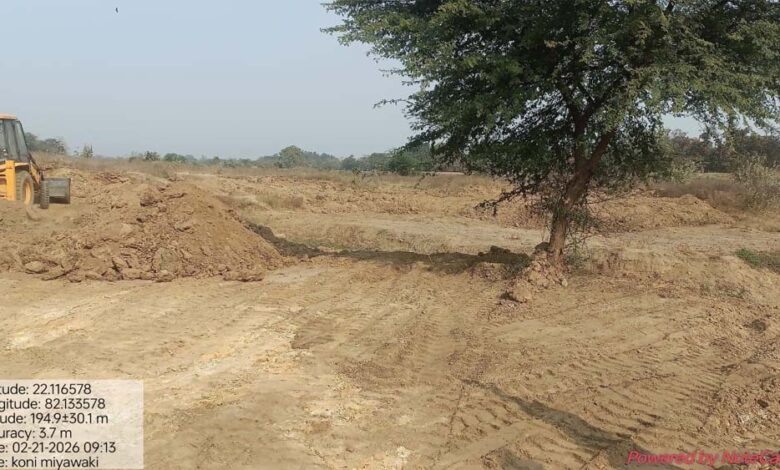 बिलासपुर-की-लाइफलाइन-अरपा-के-तट-पर-उगेगा-मियावाकी-जंगल