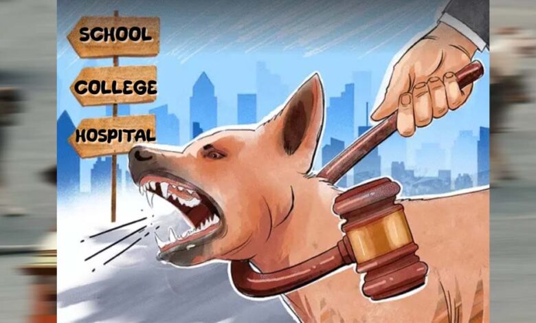 आवारा-कुत्तों-पर-सुप्रीम-कोर्ट-सख्त,-स्कूल-हॉस्पिटल-के-आसपास-मौजूदगी-पर-रोक-वाले-आदेश-पर-मुहर