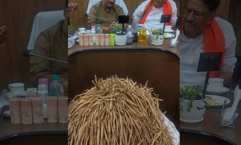 सतावर-की-खेती-से-किसानों-की-होगी-बंपर-कमाई,-खेत-की-मेड़-बनेगी-अतिरिक्त-आय-का-जरिया