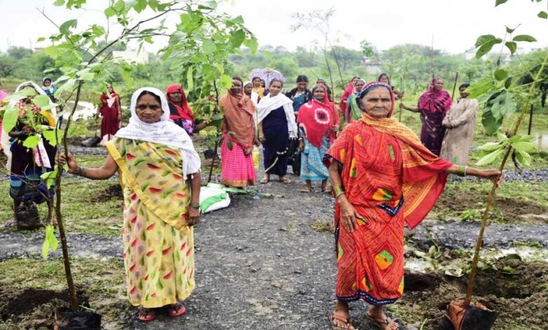 हरित विकास, जल संरक्षण और जनभागीदारी से पर्यावरणीय समृद्धि की ओर बढ़ता छत्तीसगढ़