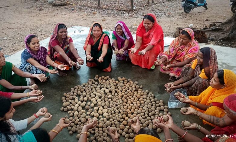सीड-बॉल-बनाकर-प्रकृति-संरक्षण-की-अनूठी-पहल,-हरित-जशपुर-के-निर्माण-पर-जोर