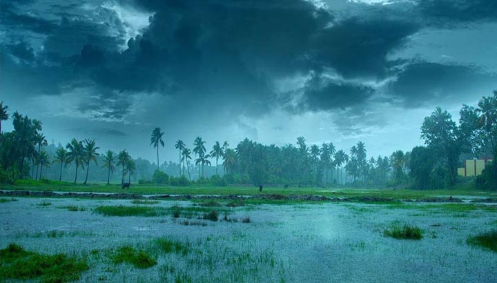 मॉनसून-की-रफ्तार-तेज!-14-राज्यों-में-पहुंचा,-अगले-4-दिनों-में-बिहार-झारखंड-में-झमाझम-बारिश-के-आसार