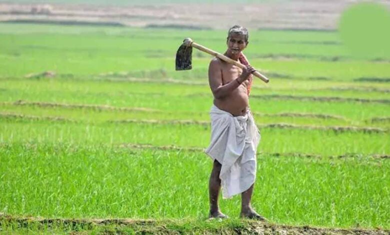 दीनदयाल भूमिहीन कृषि मजदूर कल्याण योजना में पात्र परिवारों को मिलेगी ₹10 हजार की सहायता
