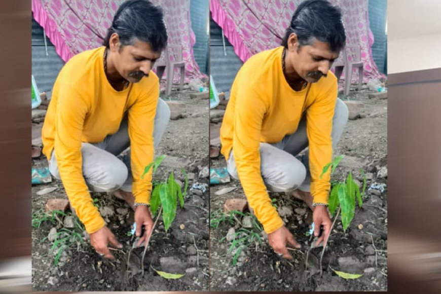 इंदौर-संभागीय-अध्यक्ष-ओम-प्रकाश-ठाकुर-ने-आम-के-वृक्ष-देवास-में-लगाए