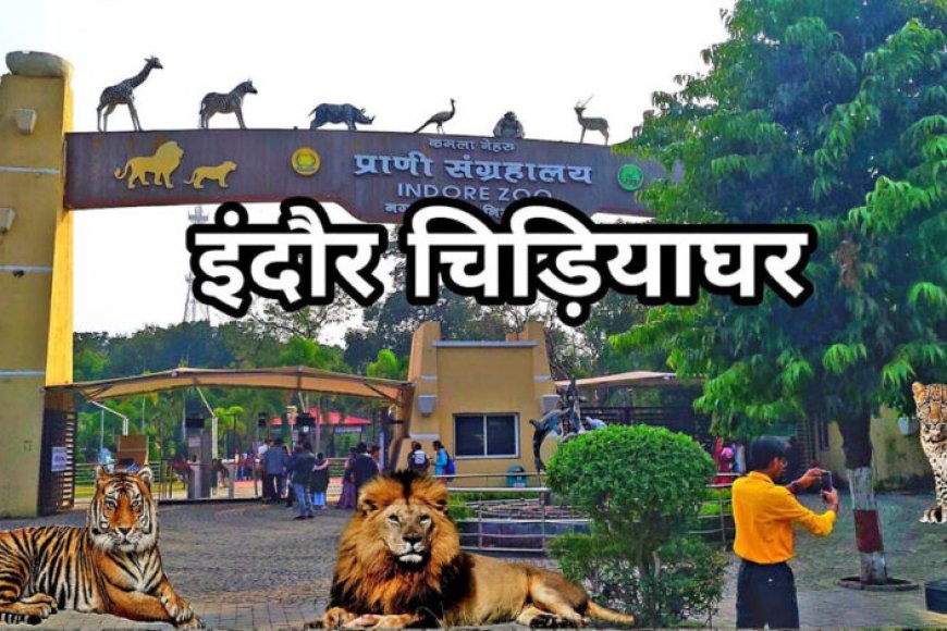 इंदौर-चिड़ियाघर-में-बढ़ेगा-आकर्षण,-आएगा-एक-सींग-वाले-गैंडों-का-जोड़ा,-700-किमी-दूर-से-पहुंचेगा-दरियाई-घोड़ा-‘सतीश’
