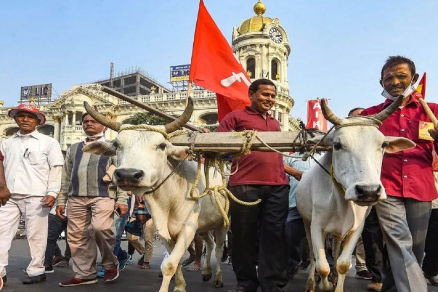 आठ-दिन-में-समाधान-नहीं-हुआ-तो-कलेक्ट्रेट-पर-धरना-देंगे-किसान,-कलेक्टर-दिया-चेतावनी-भरा-आवेदन