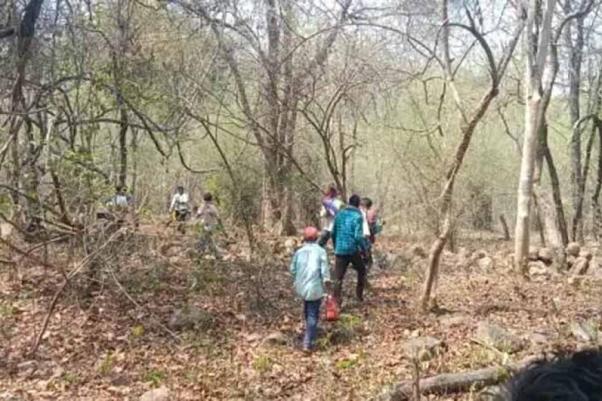 cg-crime-news:-9वीं-के-छात्र-का-जंगल-में-मिला-शव,-चेहरे-पर-पत्थर-से-हमला,-हत्या-की-आशंका