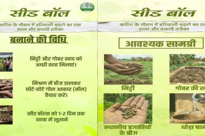 सीड-बॉल-अभियान-हरियाली-बढ़ाने-का-सरल-और-प्रभावी-माध्यम