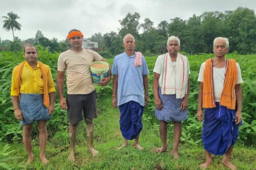 लैलूंगा-के-पाकरगांव-के-सुगंधित-जवांफूल-चावल-की-खुशबू-पहुंच-रही-मुख्यमंत्री-निवास-तक