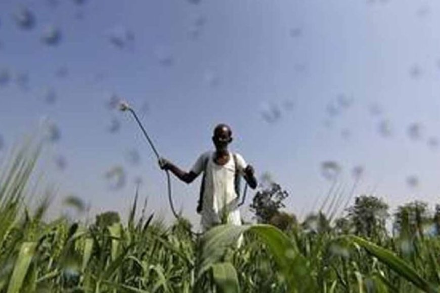 मुख्यमंत्री-डॉ-यादव-1054-लाख-किसानों-के-खातों-में-1460.25-करोड़-की-राशि-करेंगे-अंतरित
