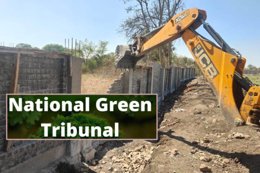 भोज-वेटलैंड-पर-ngt-सख्त,-50-मीटर-ftl-के-भीतर-सभी-अवैध-कब्जे-हटेंगे;-31-अगस्त-तक-मांगी-रिपोर्ट
