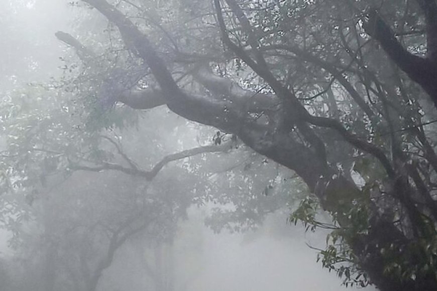 एल-नीनो-के-बीच-राहत-की-उम्मीद,-पॉजिटिव-iod-से-सुधरेगा-मानसून