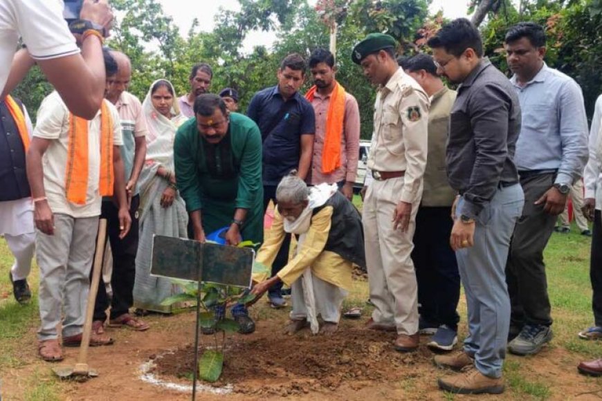 एक-पेड़-माँ-के-नाम-अभियान-से-बदली-उजड़ी-वन-भूमि-की-तस्वीर