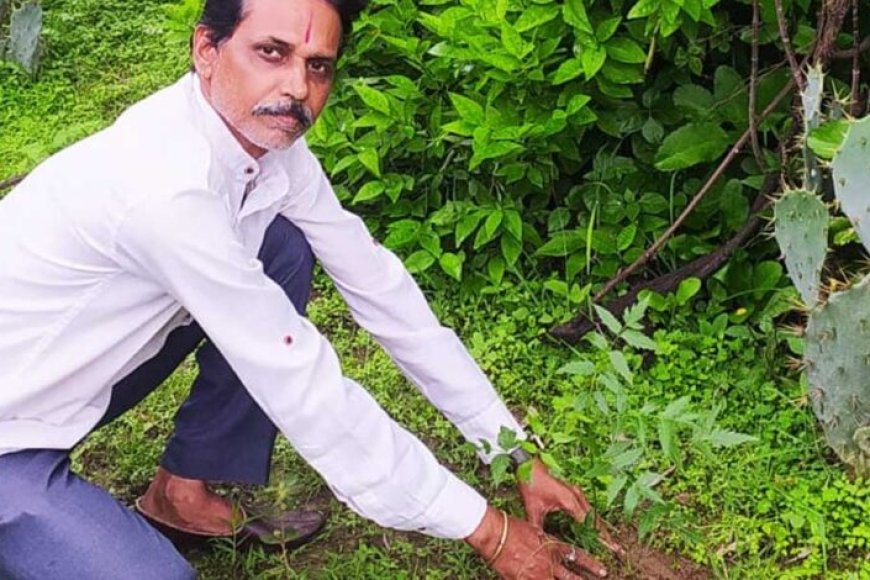 शहडोल संभागीय अध्यक्ष प्रकाश सोनी ने लगाए नीम के पौधे