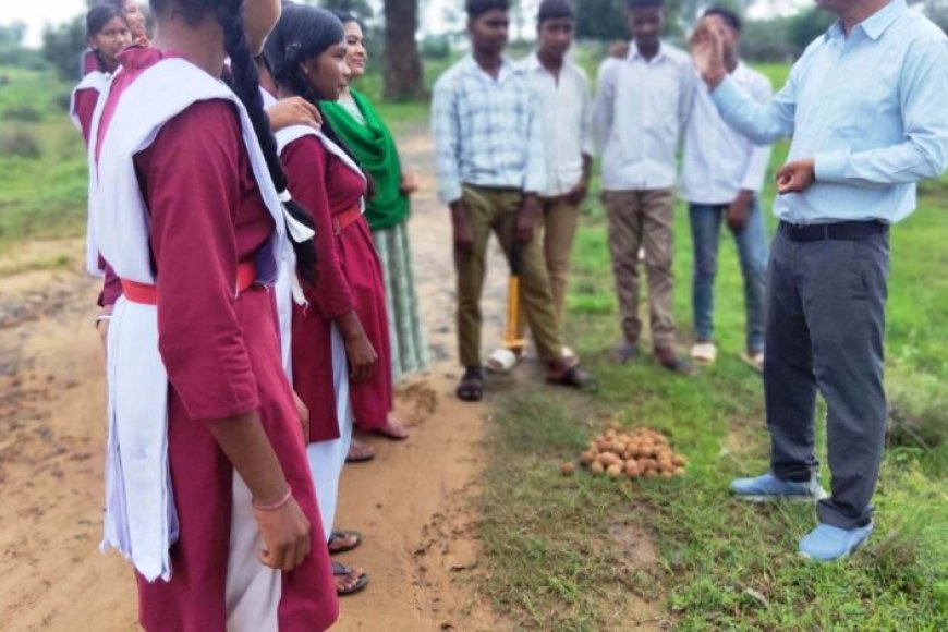 सीड-बॉल-से-हरियाली-की-ओर-बढ़े-पिपरिया-के-विद्यार्थी